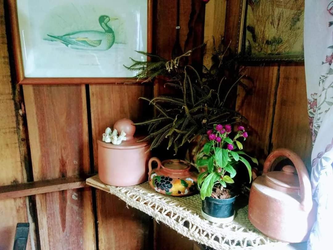 Cabana Rustica Calabresi Villa Osorio Ngoại thất bức ảnh